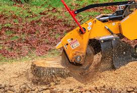  Thiensville, WI Tree Removal Pros
